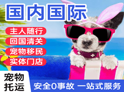 庆阳机场物流国际宠物托运 【国
